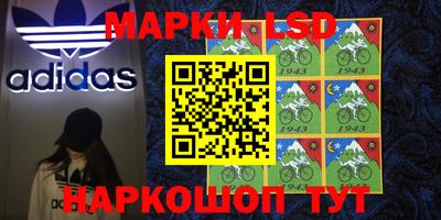 прущие крисы Партизанск